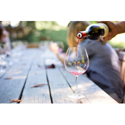 Les vins insolites 230,00 € Ateliers de dégustation vendu par 750ml