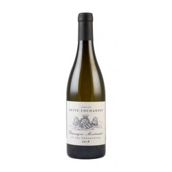 Chassagne-Montrachet 1er Cru Chenevottes 2018 Domaine Heitz Lochardet 750 ml 115,00 € Bourgogne vendu par 750ml