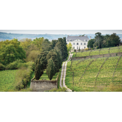Dégustation Les vins de Nicolas Joly et de la Coulée de Serrant 450,00 € Ateliers de dégustation vendu par 750ml