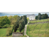 Dégustation Les vins de Nicolas Joly et de la Coulée de Serrant