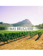 Domaine Mas Brugiuière